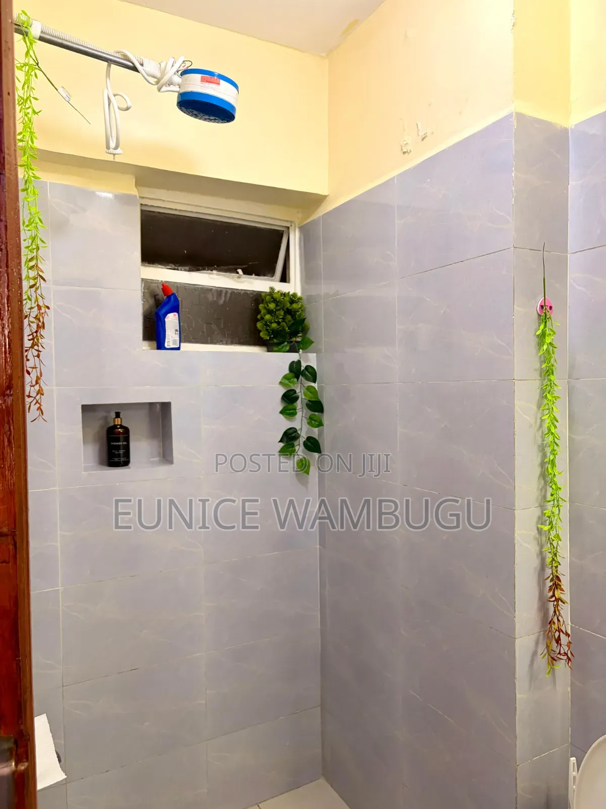 Spacious Airbnbs Studio Ngara/Parkland in Ngara