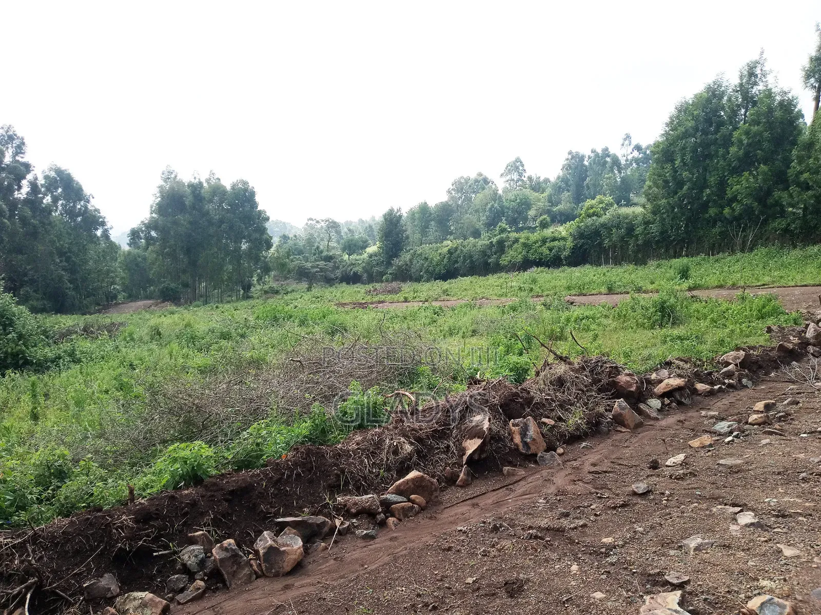 Kibiko 1/8acre Plot Along Lemiso Road in Woodley/Kenyatta Golf Course
