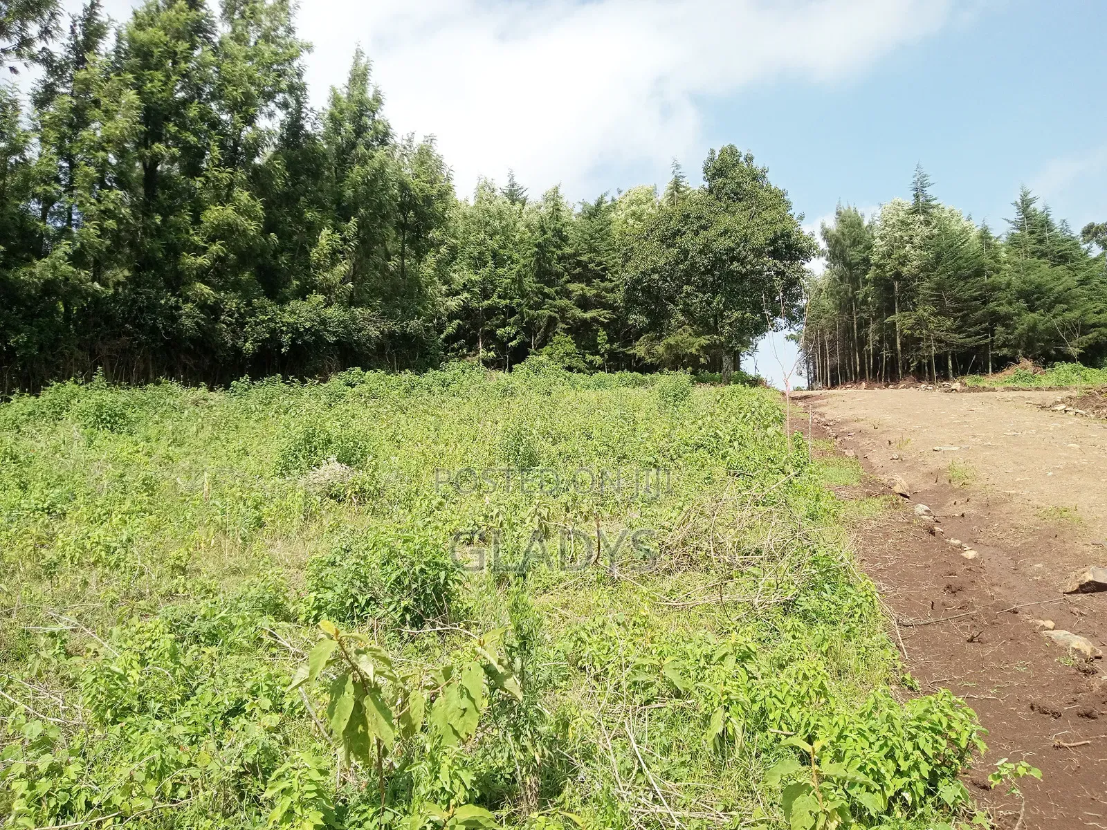 Kibiko 1/8acre Plot Along Lemiso Road in Woodley/Kenyatta Golf Course