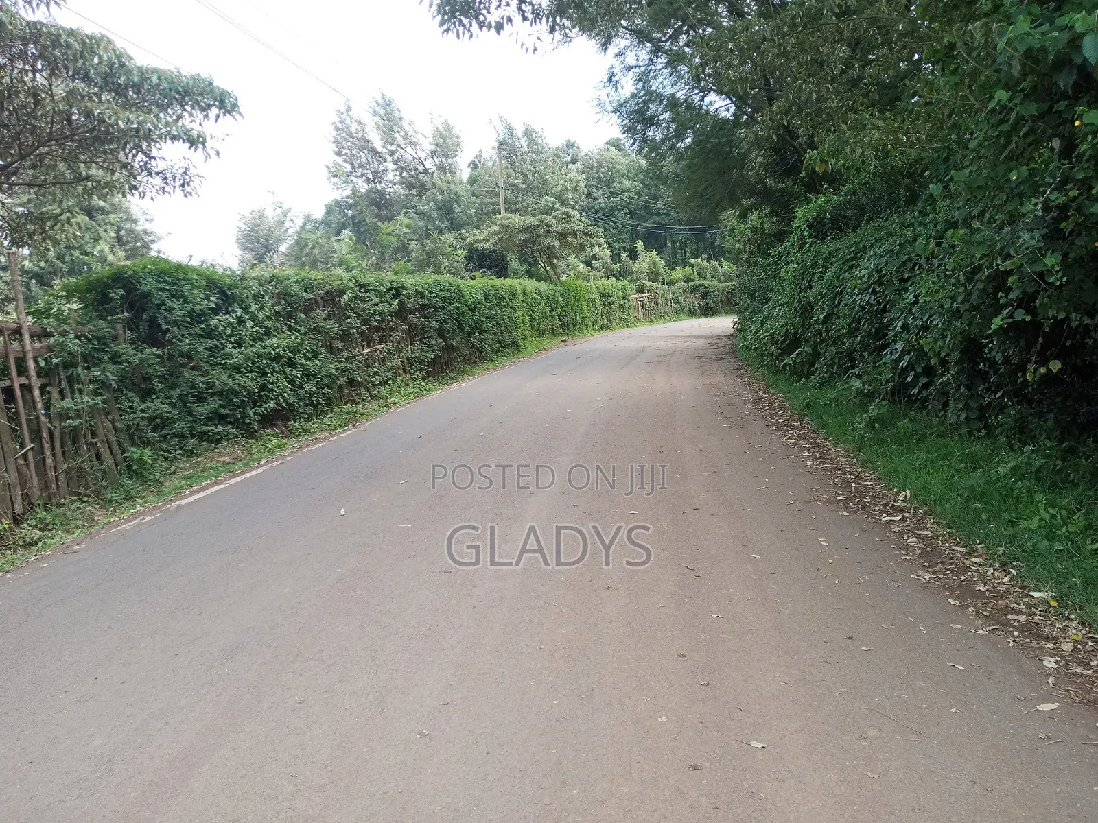 Kibiko 1/8acre Plot Along Lemiso Road in Woodley/Kenyatta Golf Course