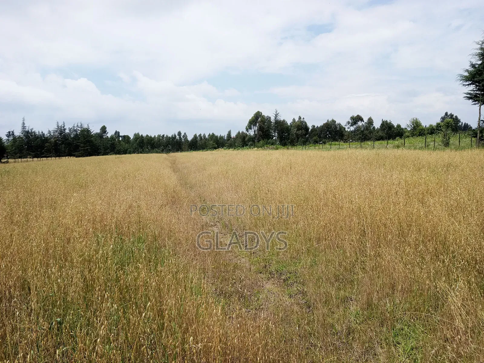 Kinagop Kwa Ben 2.397 Acres Along Kahuru in Woodley/Kenyatta Golf Course