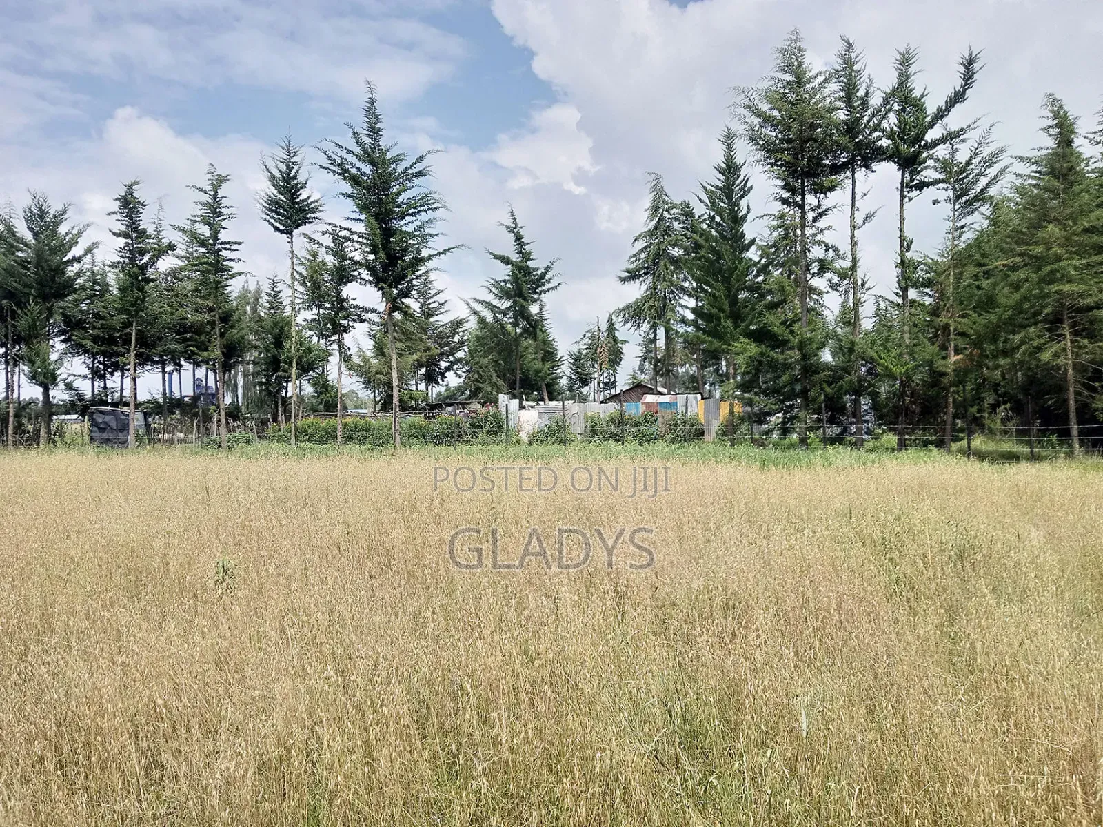 Kinagop Kwa Ben 2.397 Acres Along Kahuru in Woodley/Kenyatta Golf Course