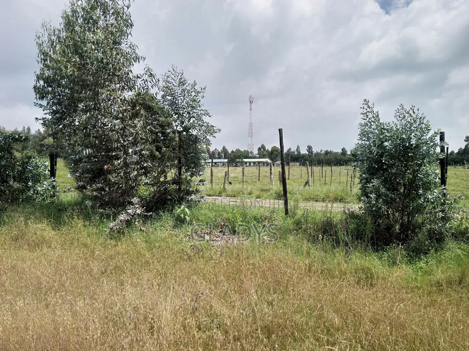 Kinagop Kwa Ben 2.397 Acres Along Kahuru in Woodley/Kenyatta Golf Course
