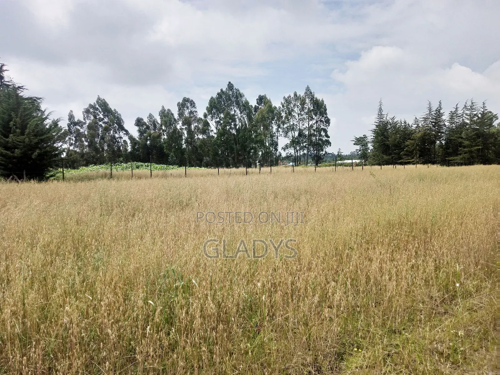 Kinagop Kwa Ben 2.397 Acres Along Kahuru in Woodley/Kenyatta Golf Course