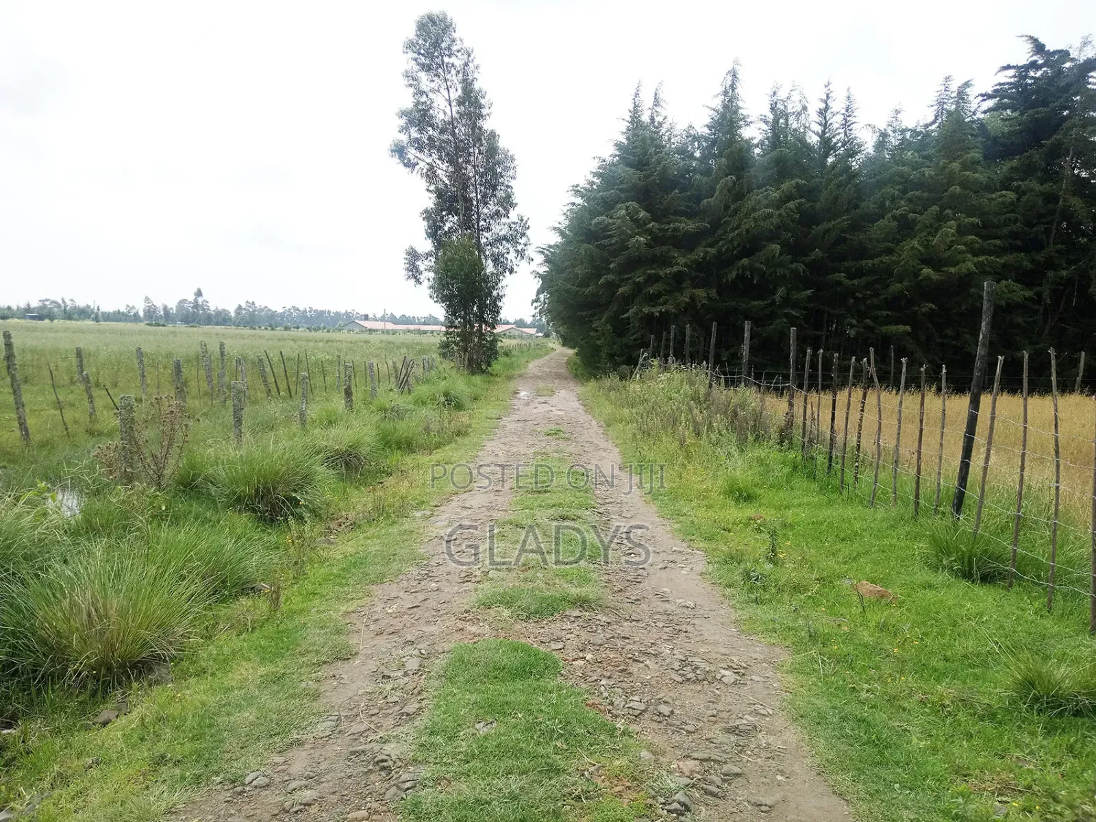 Kinagop Kwa Ben 2.397 Acres Along Kahuru in Woodley/Kenyatta Golf Course