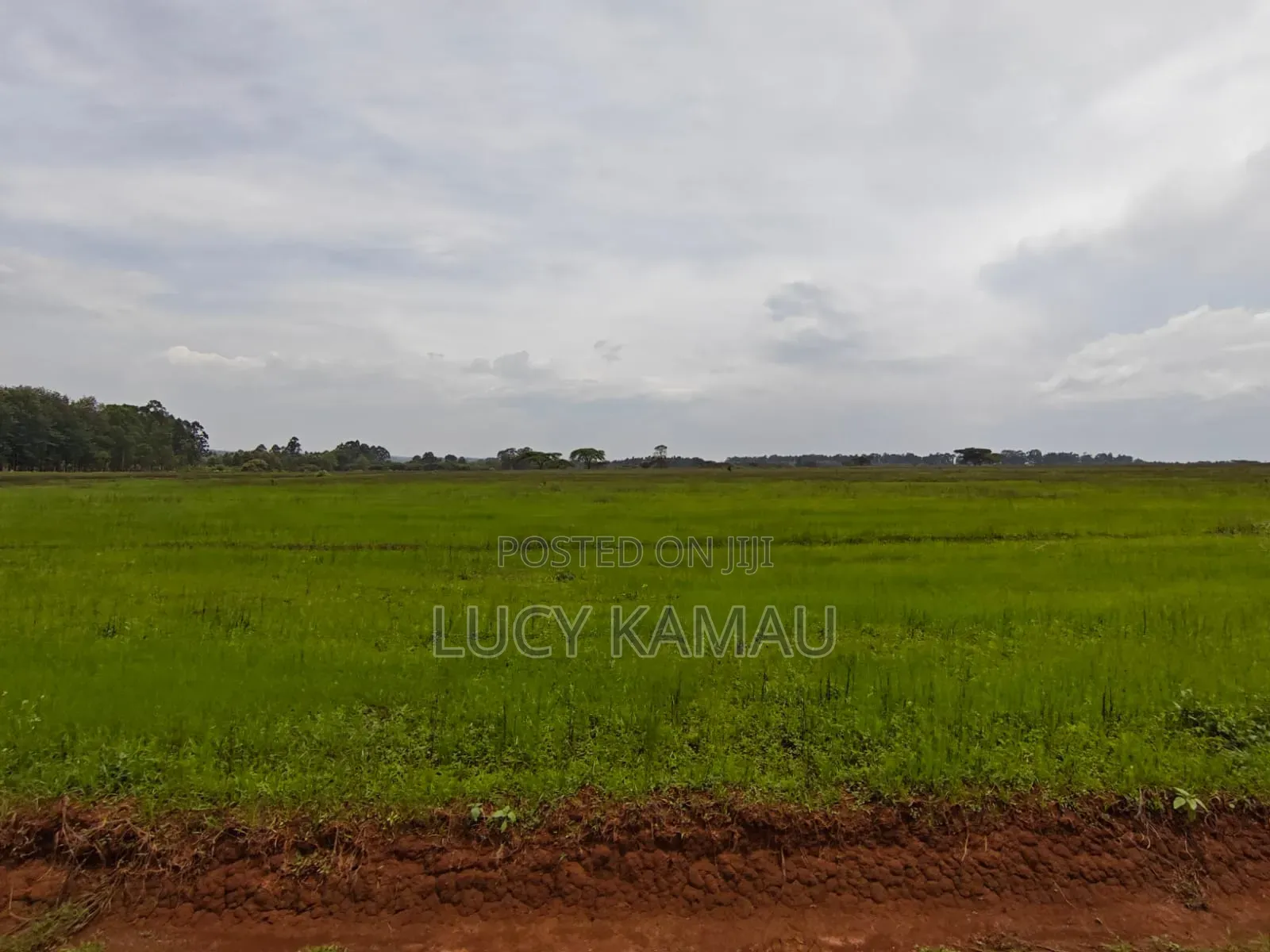 1⁄4 Acre Prime Gated Community Plots in Kitale in Kitale