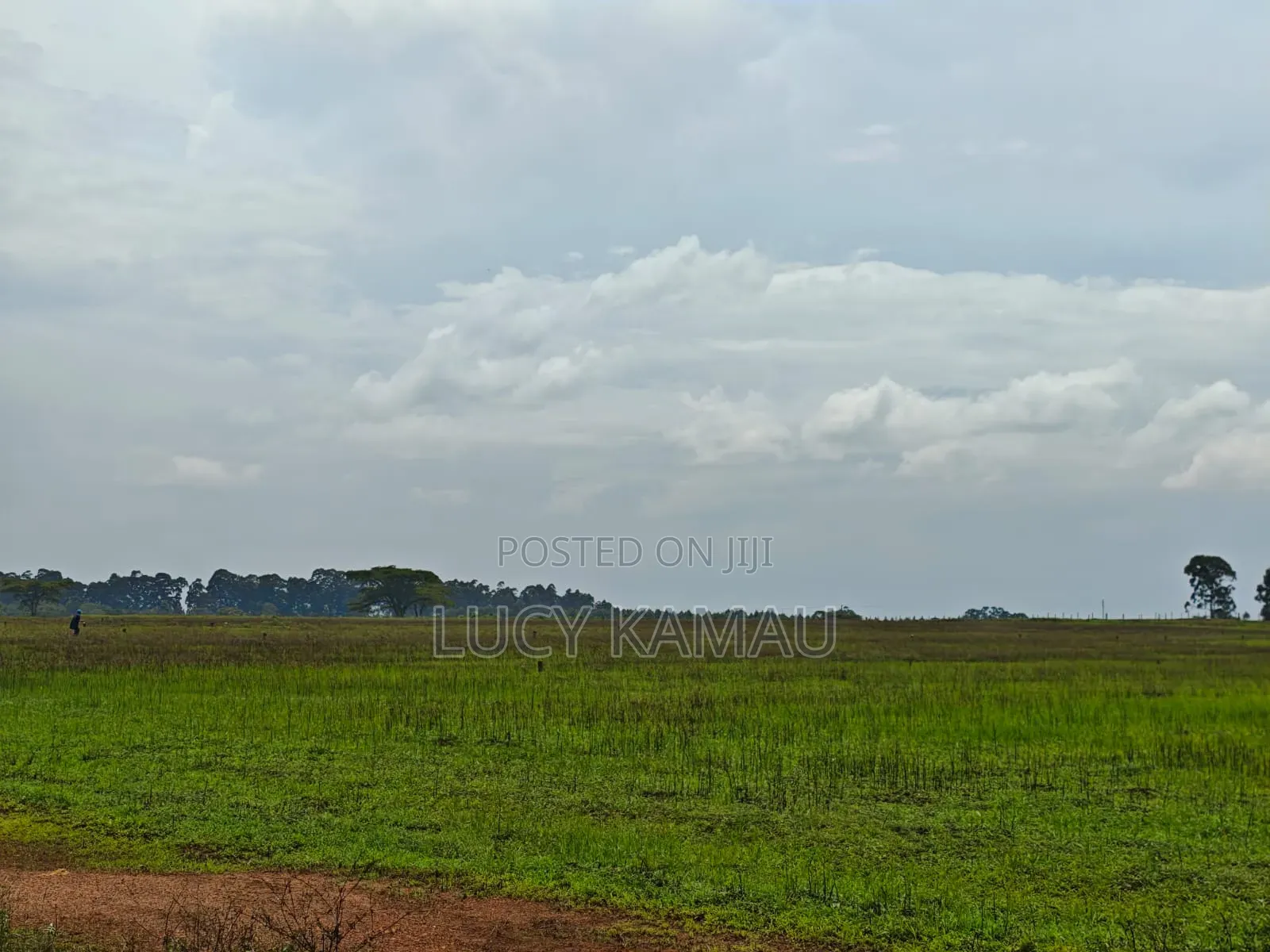 1⁄4 Acre Prime Gated Community Plots in Kitale in Kitale