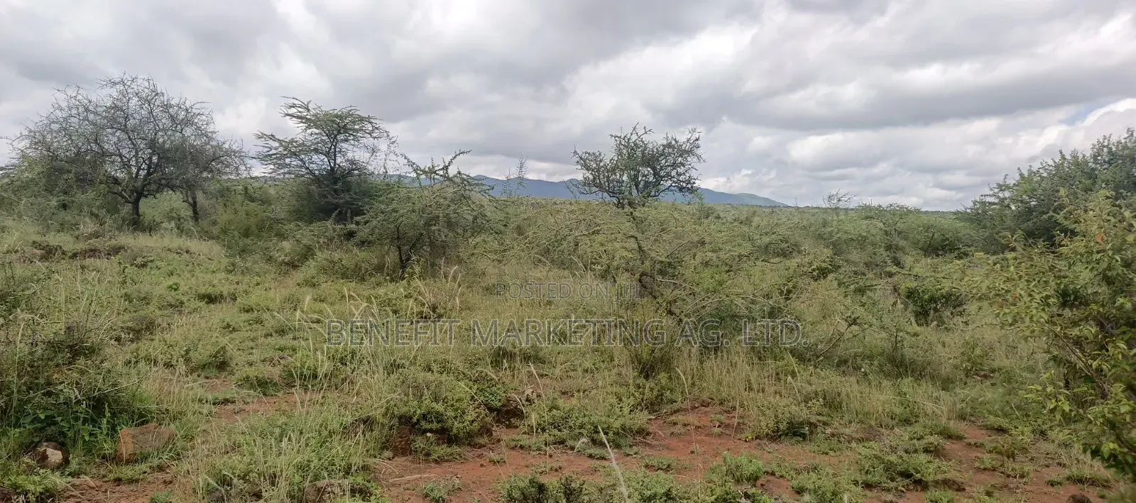 2.75 Acres for Sale in Ngong Kimuka Maroroi. in Ngong