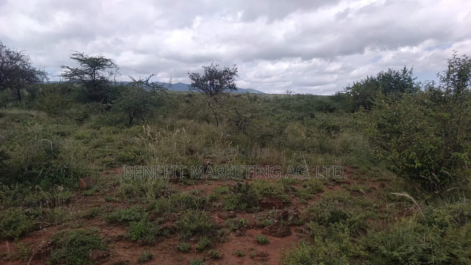 2.75 Acres for Sale in Ngong Kimuka Maroroi. in Ngong