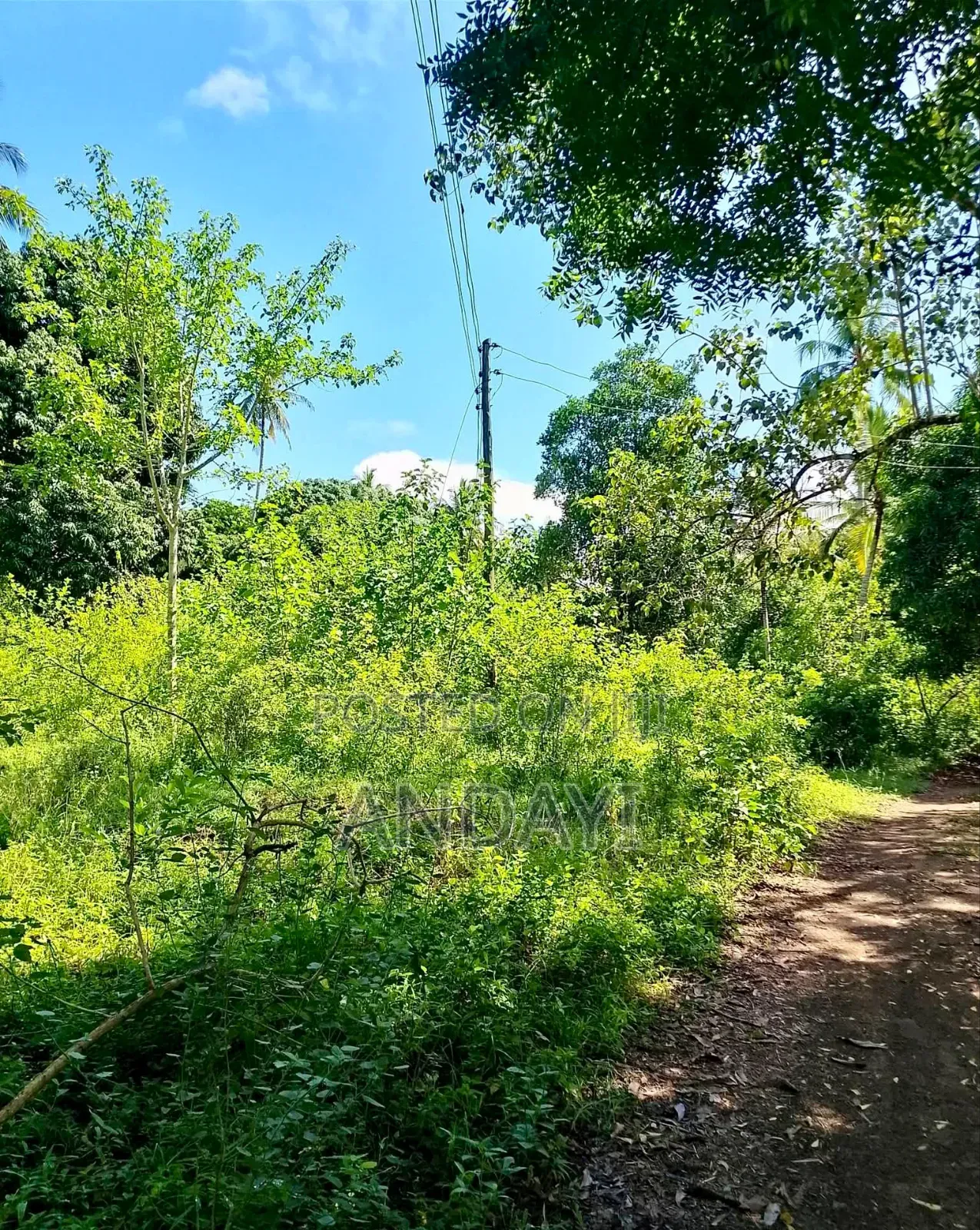 2 Acres Land for Sale in Diani, Mabokoni in Ukunda