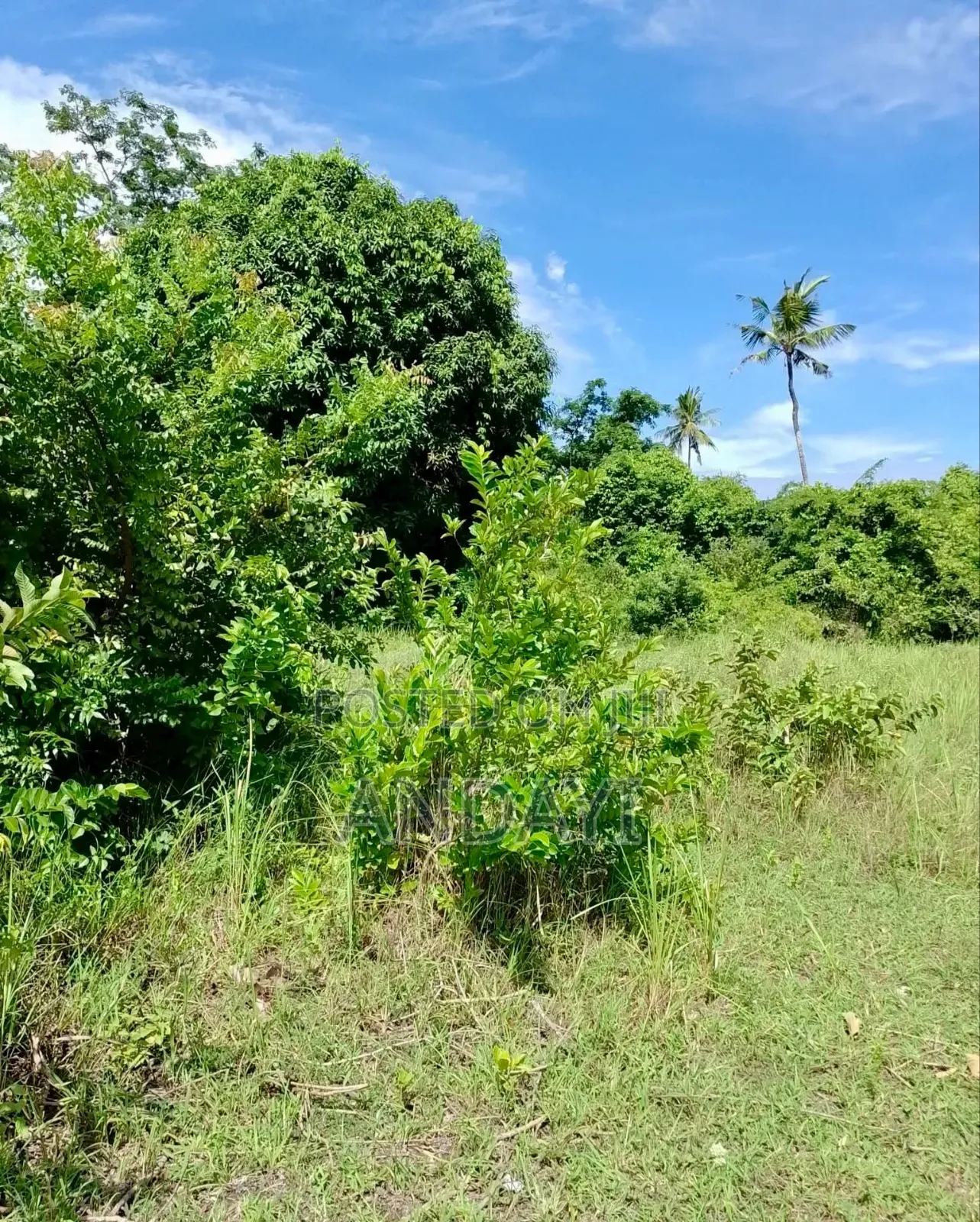 2 Acres Land for Sale in Diani, Mabokoni in Ukunda