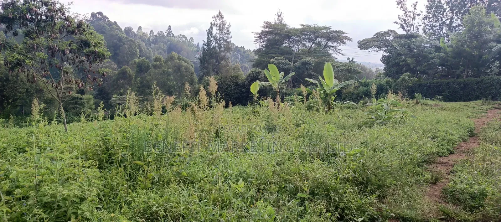 Quarter Acre Plots for Sale in Ngong Matasia, Barabara Mpya in Ngong