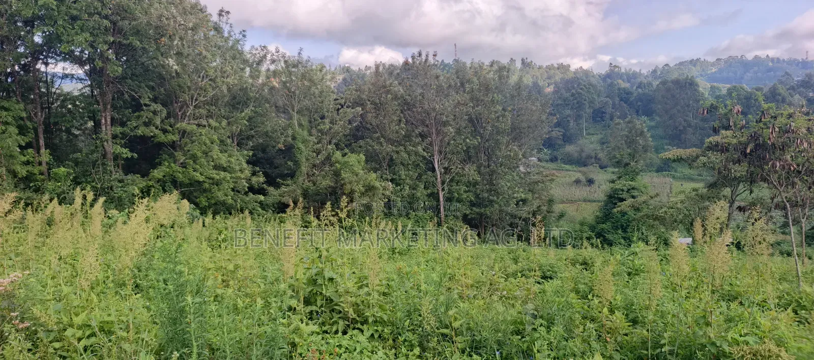 Quarter Acre Plots for Sale in Ngong Matasia, Barabara Mpya in Ngong