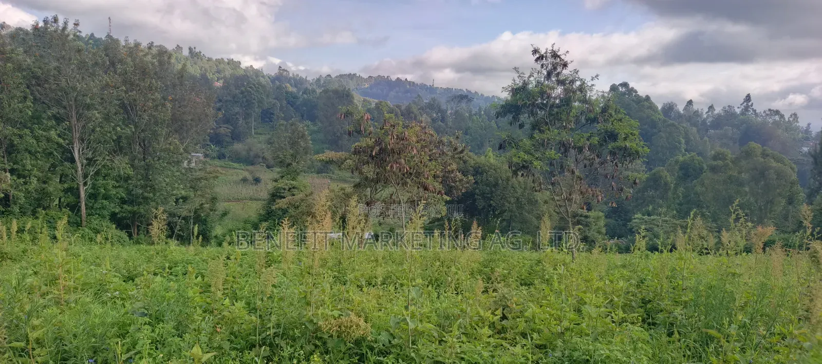 Quarter Acre Plots for Sale in Ngong Matasia, Barabara Mpya in Ngong