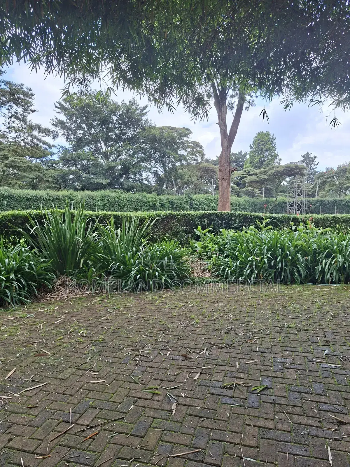 5 Acres Land for Sale in Karen Miotoni in Karen C