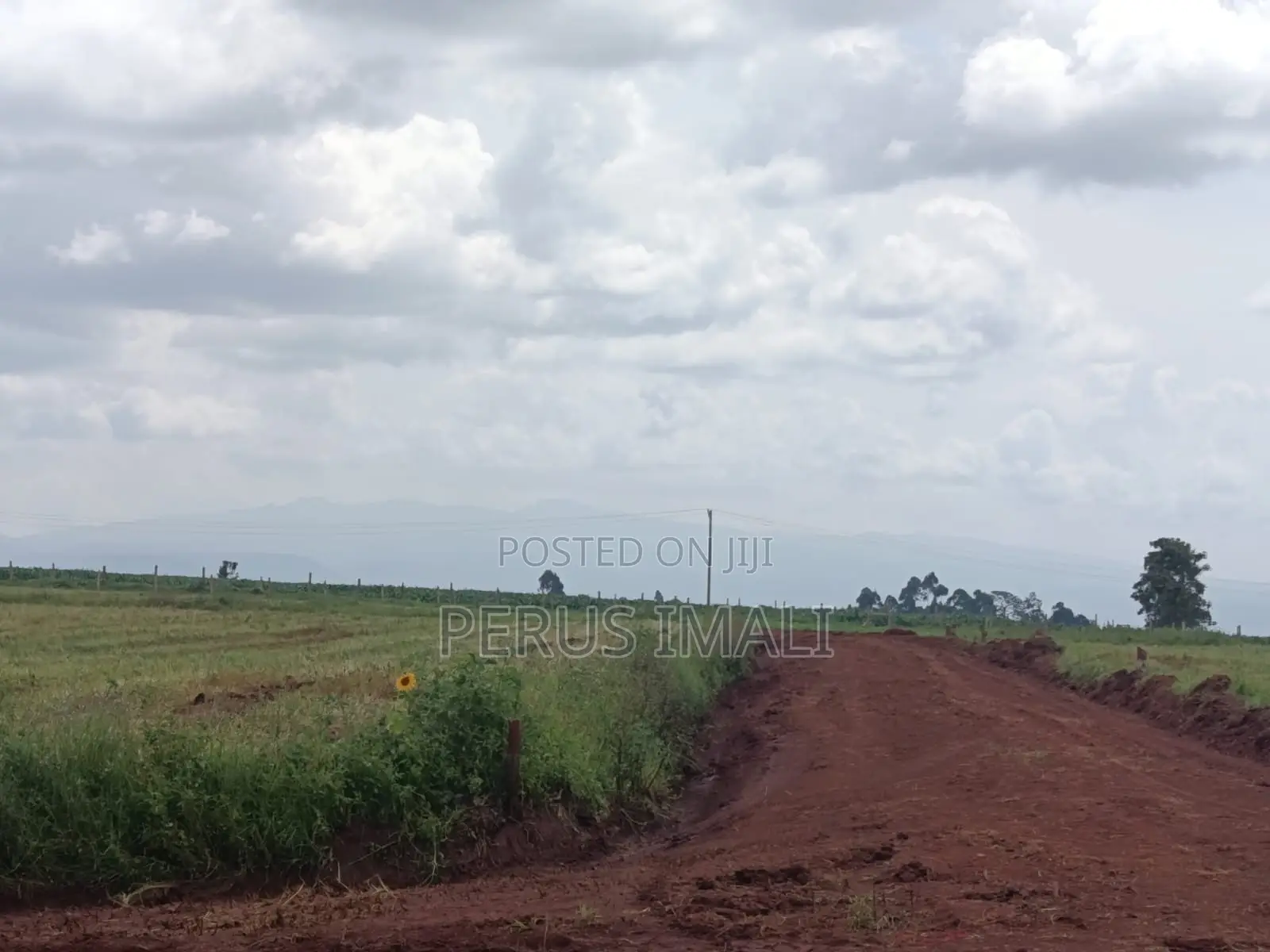 Forest Hill Estate in Kitale