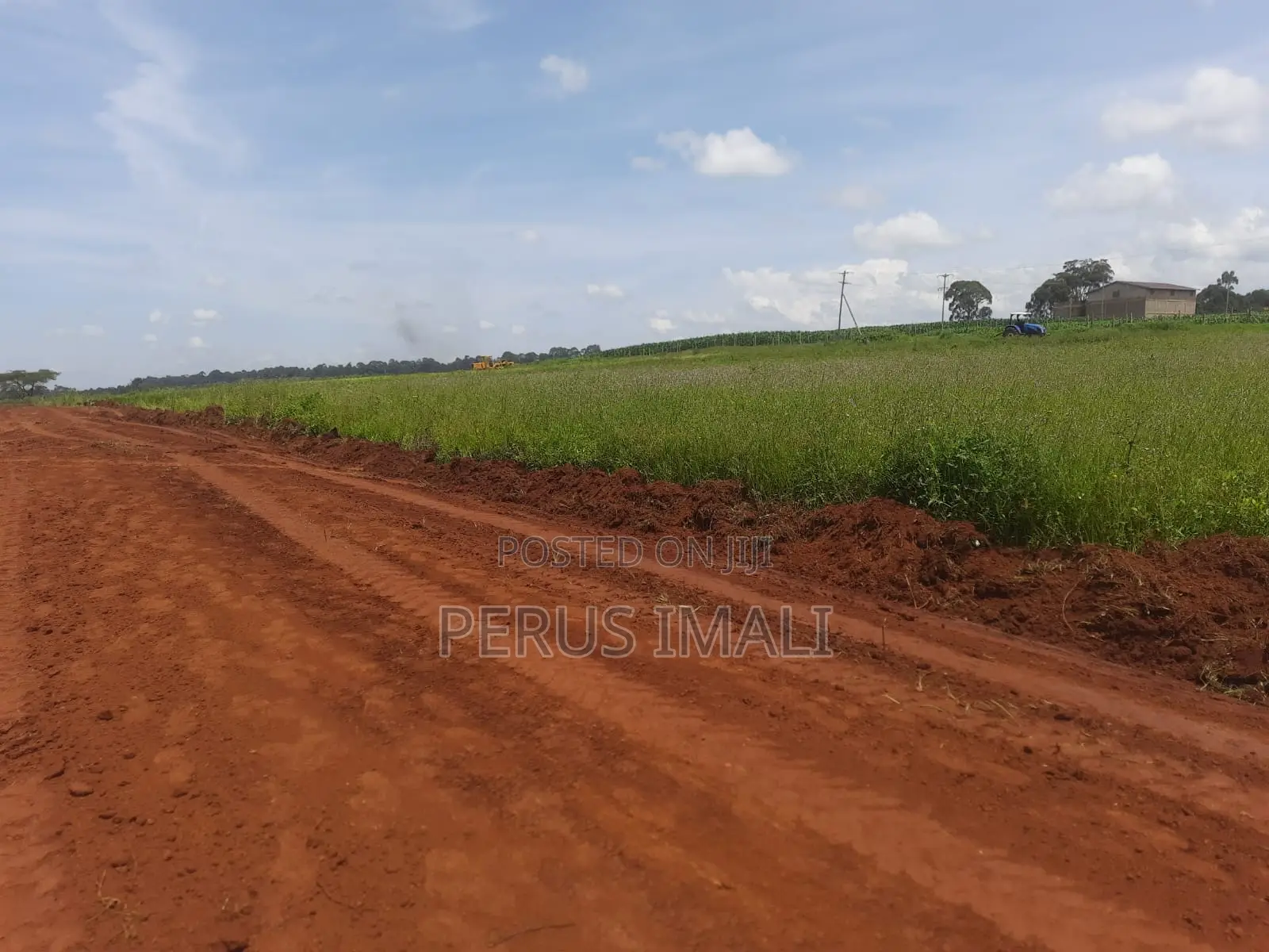 Forest Hill Estate in Kitale