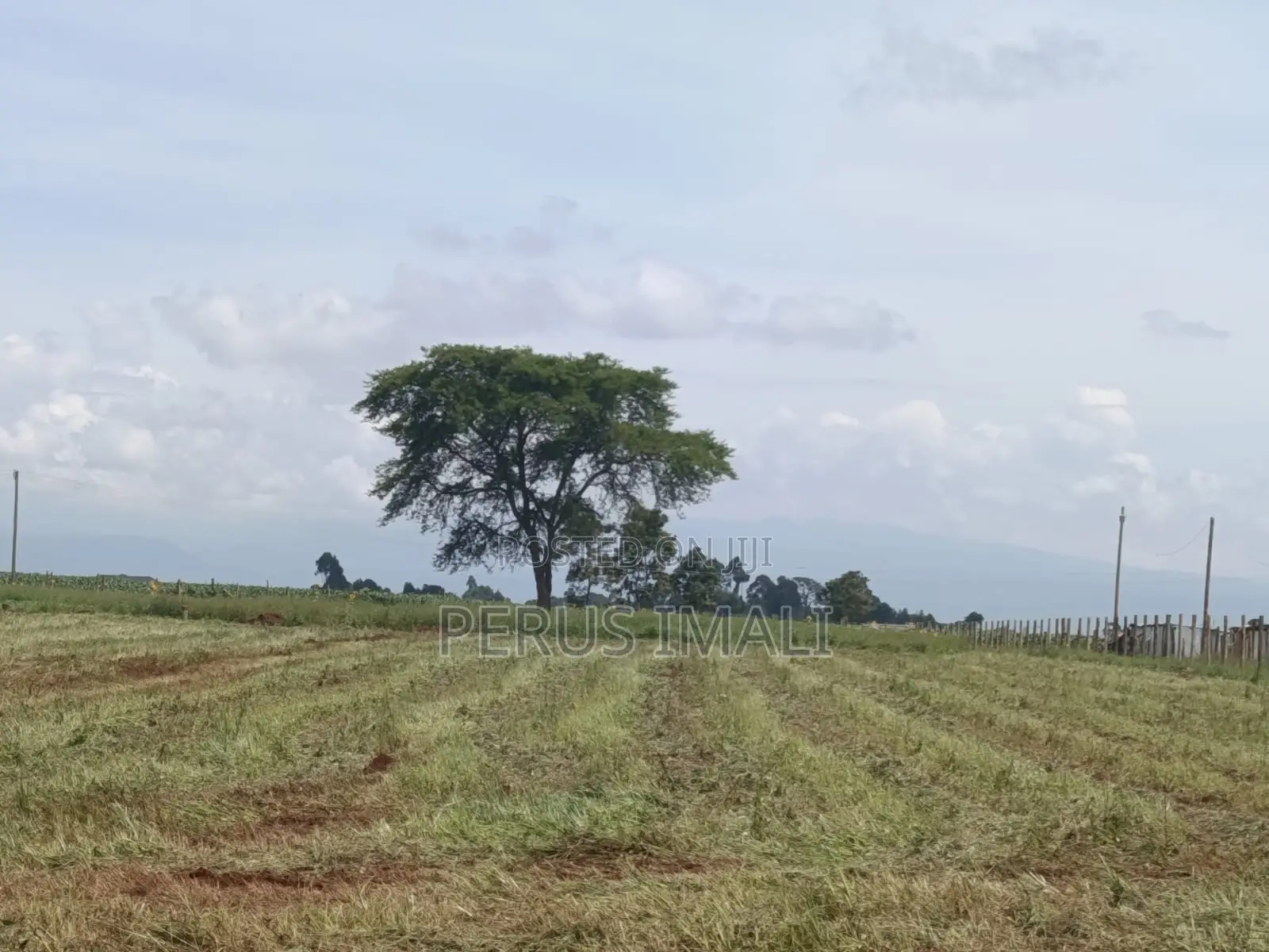 Forest Hill Estate in Kitale