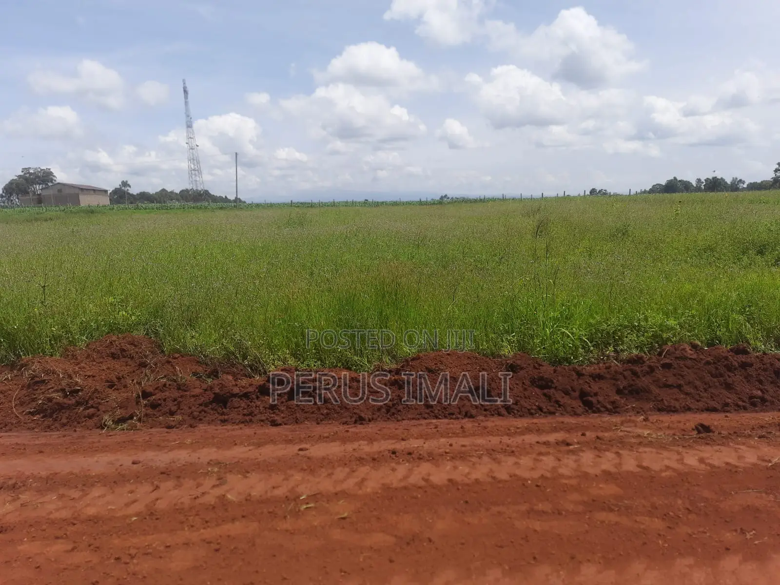 Forest Hill Estate in Kitale