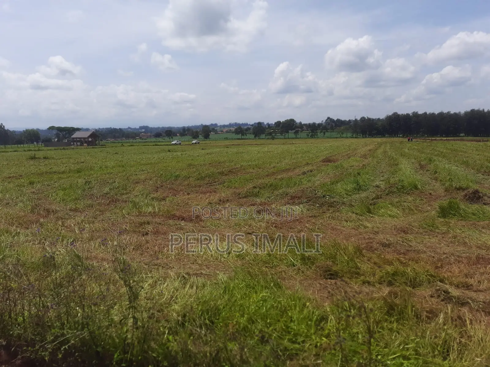 Forest Hill Estate in Kitale