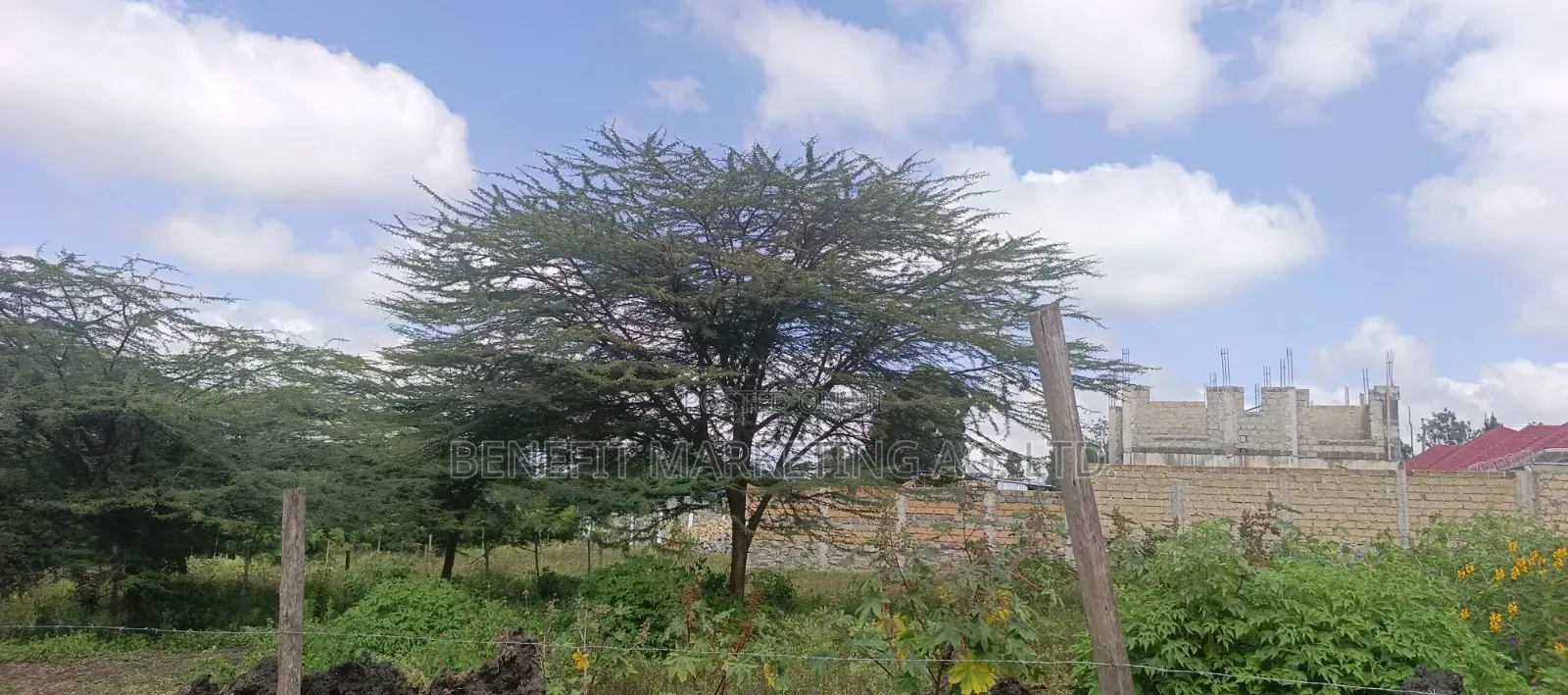 Eigth Acre Plot for Sale in Ngong Matasia Merisho Road in Matasia