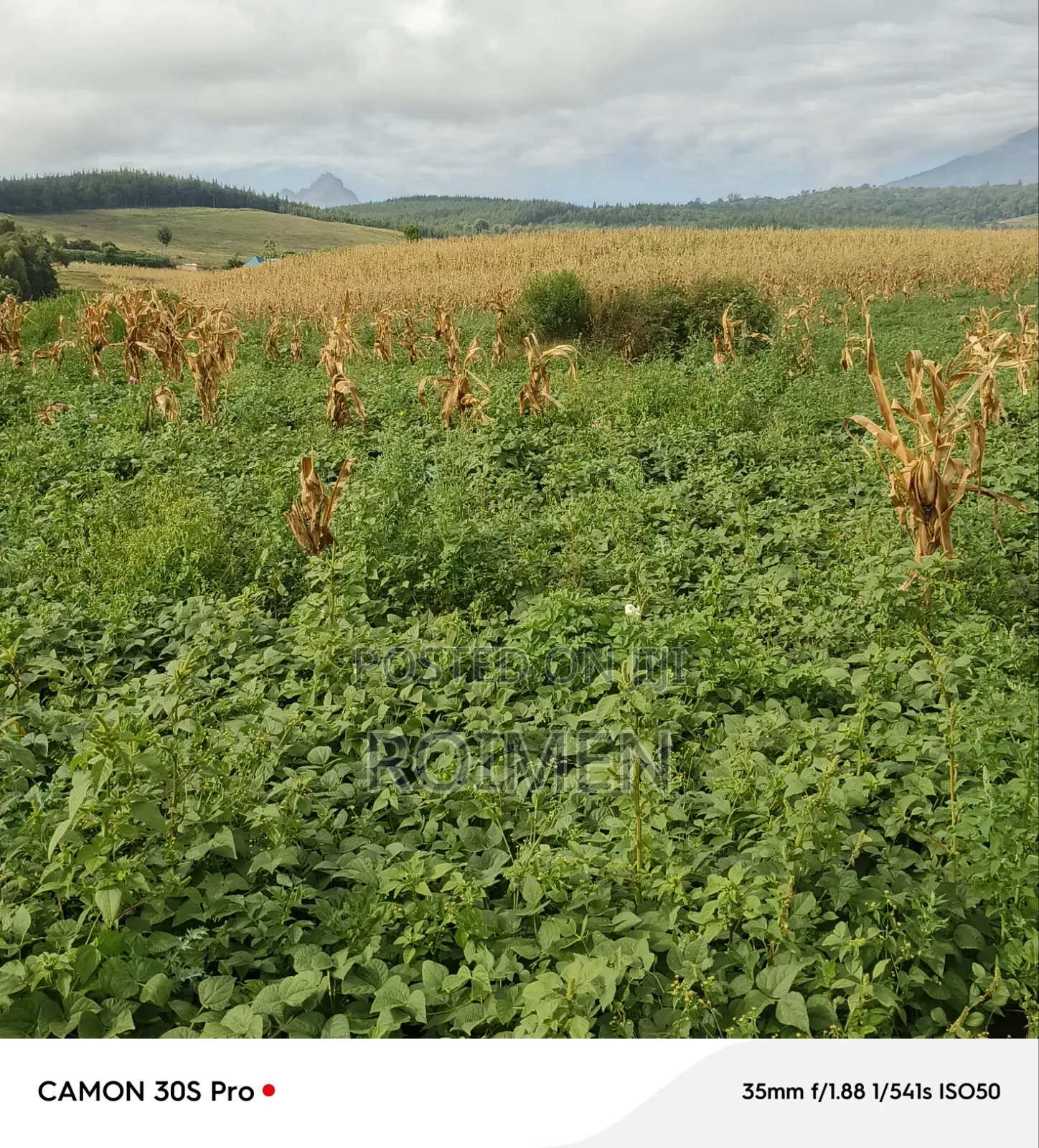 Commercial Land in Entonet/Lenkisim