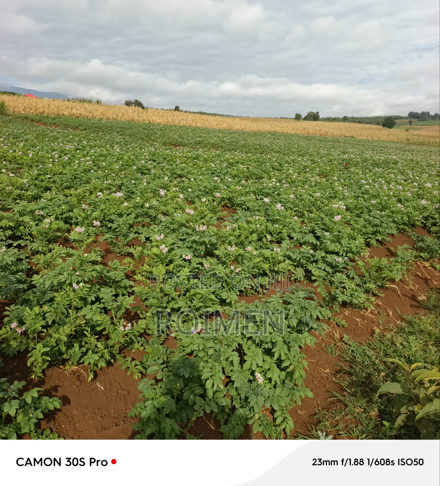 Commercial Land in Entonet/Lenkisim