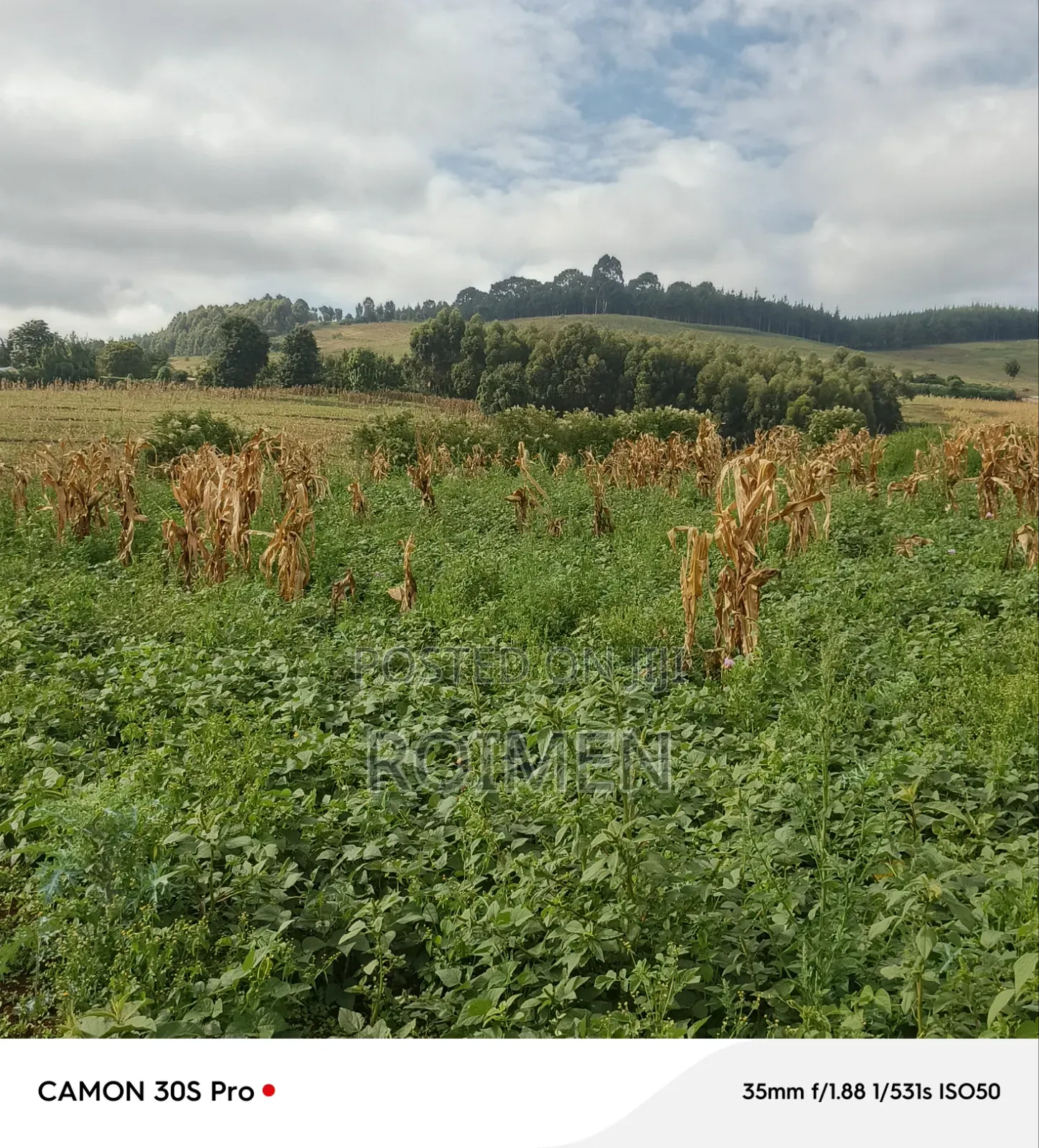 Commercial Land in Entonet/Lenkisim
