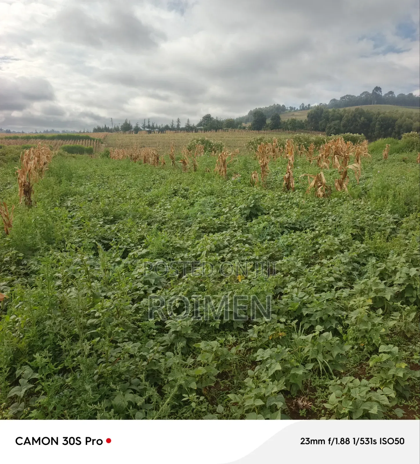 Commercial Land in Entonet/Lenkisim