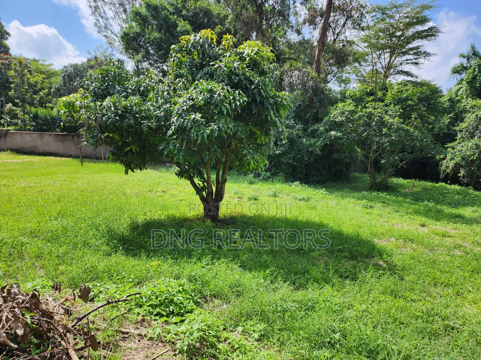 1/2 Acre Land For Sale – Mitoni Karen | in Karen C