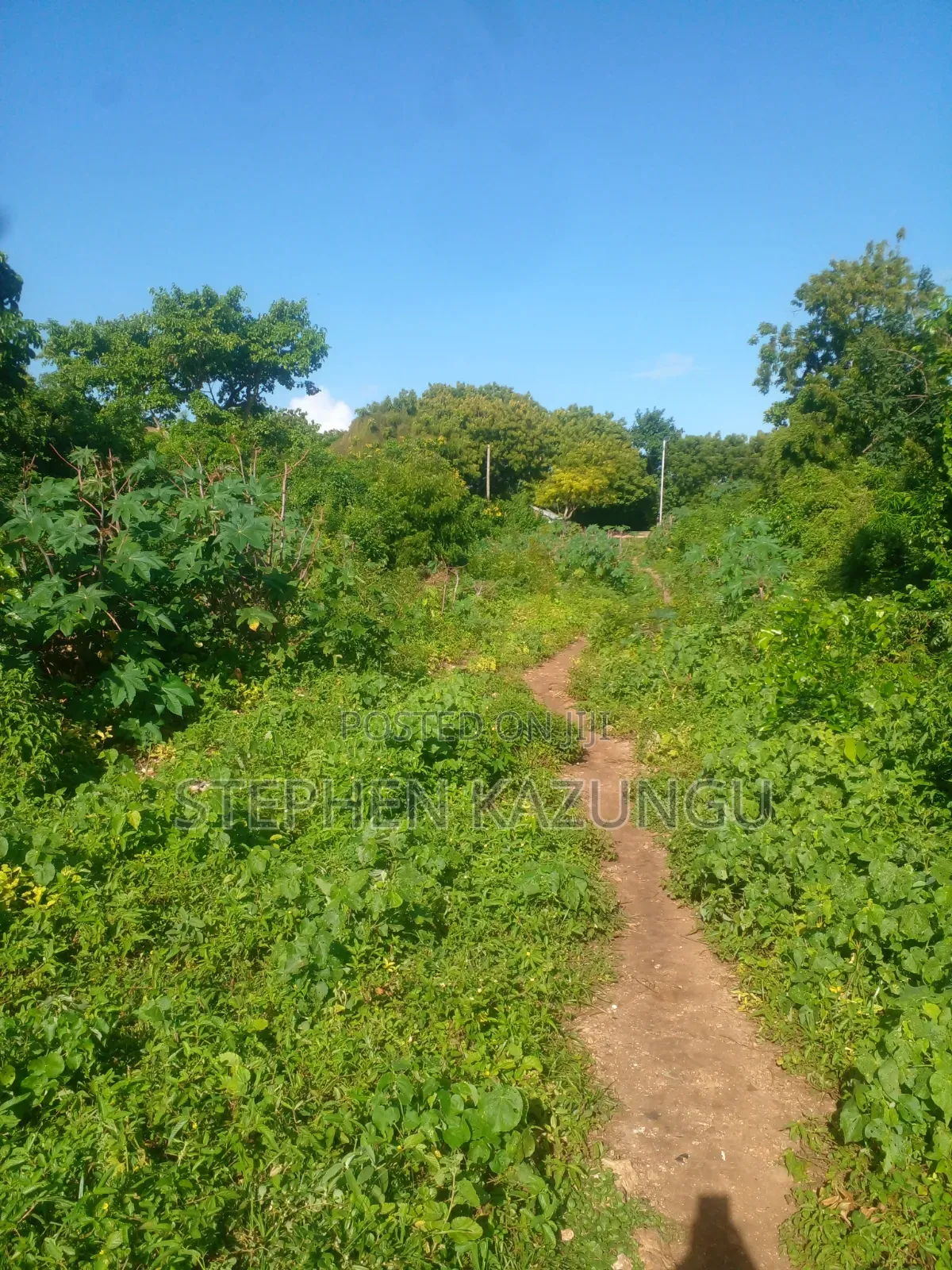 1/4 Acre Plot on 2nd Row Only 250 Metres From the Beach. in Ukunda