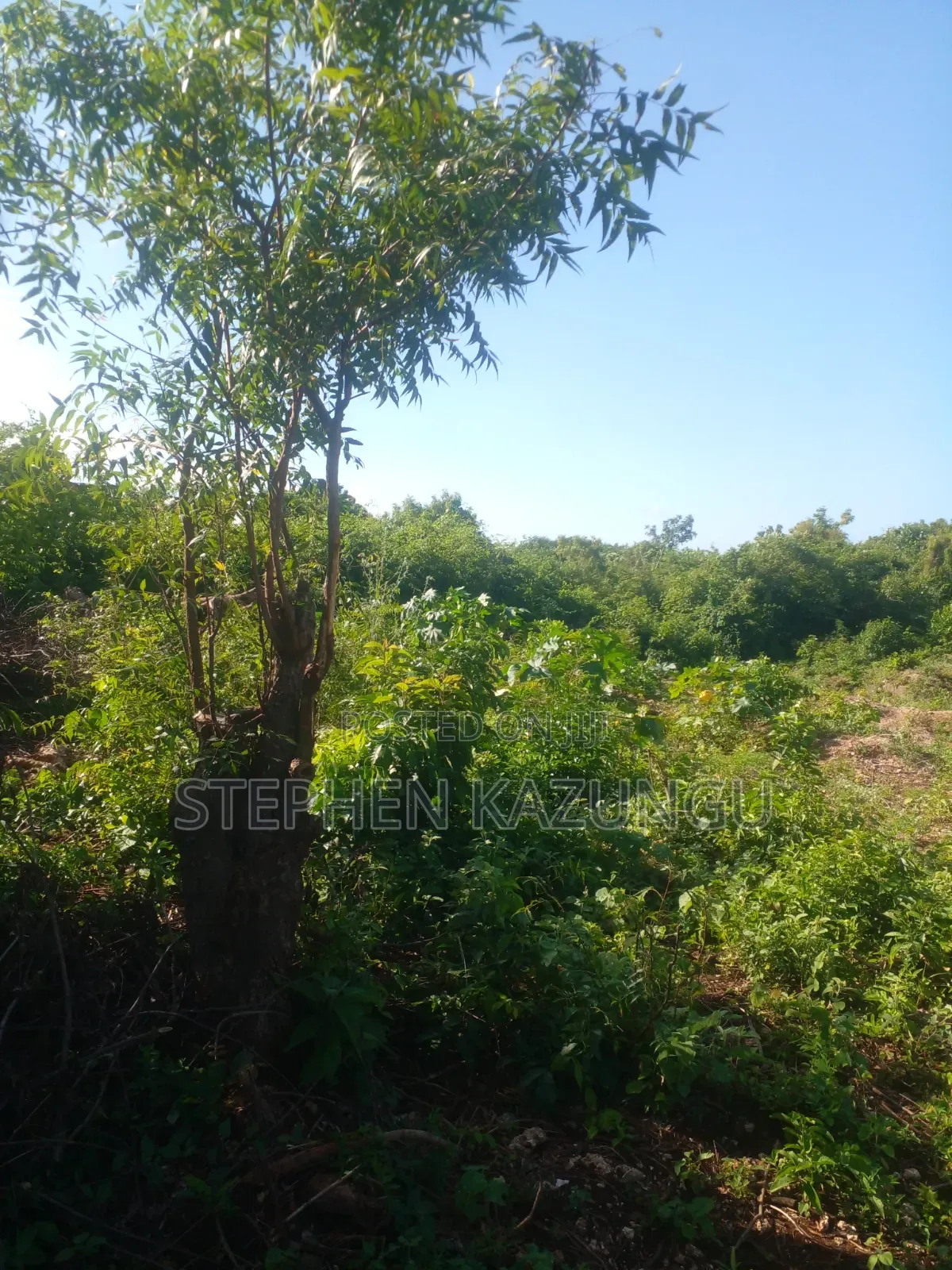 1/4 Acre Plot on 2nd Row Only 250 Metres From the Beach. in Ukunda