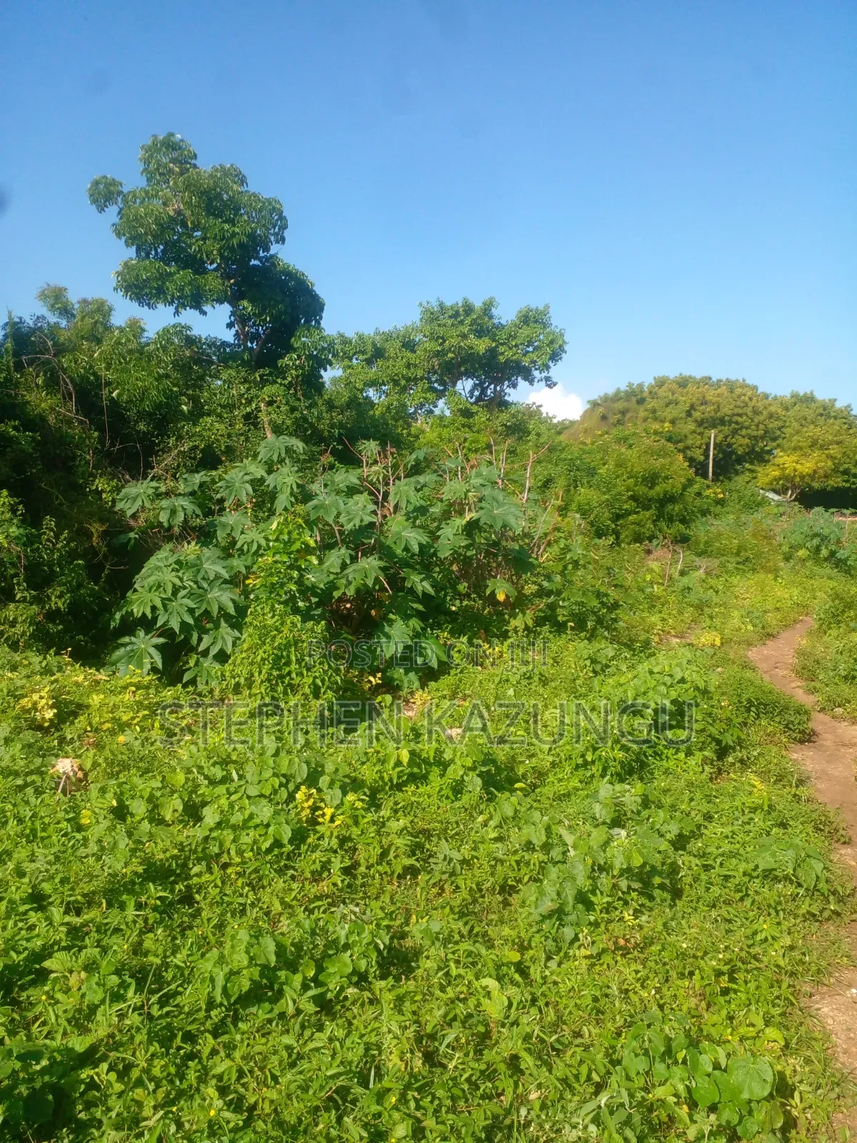 1/4 Acre Plot on 2nd Row Only 250 Metres From the Beach. in Ukunda
