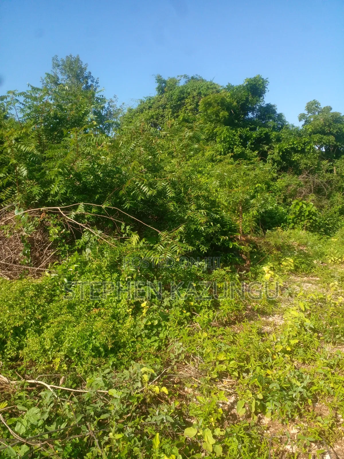 1/4 Acre Plot on 2nd Row Only 250 Metres From the Beach. in Ukunda