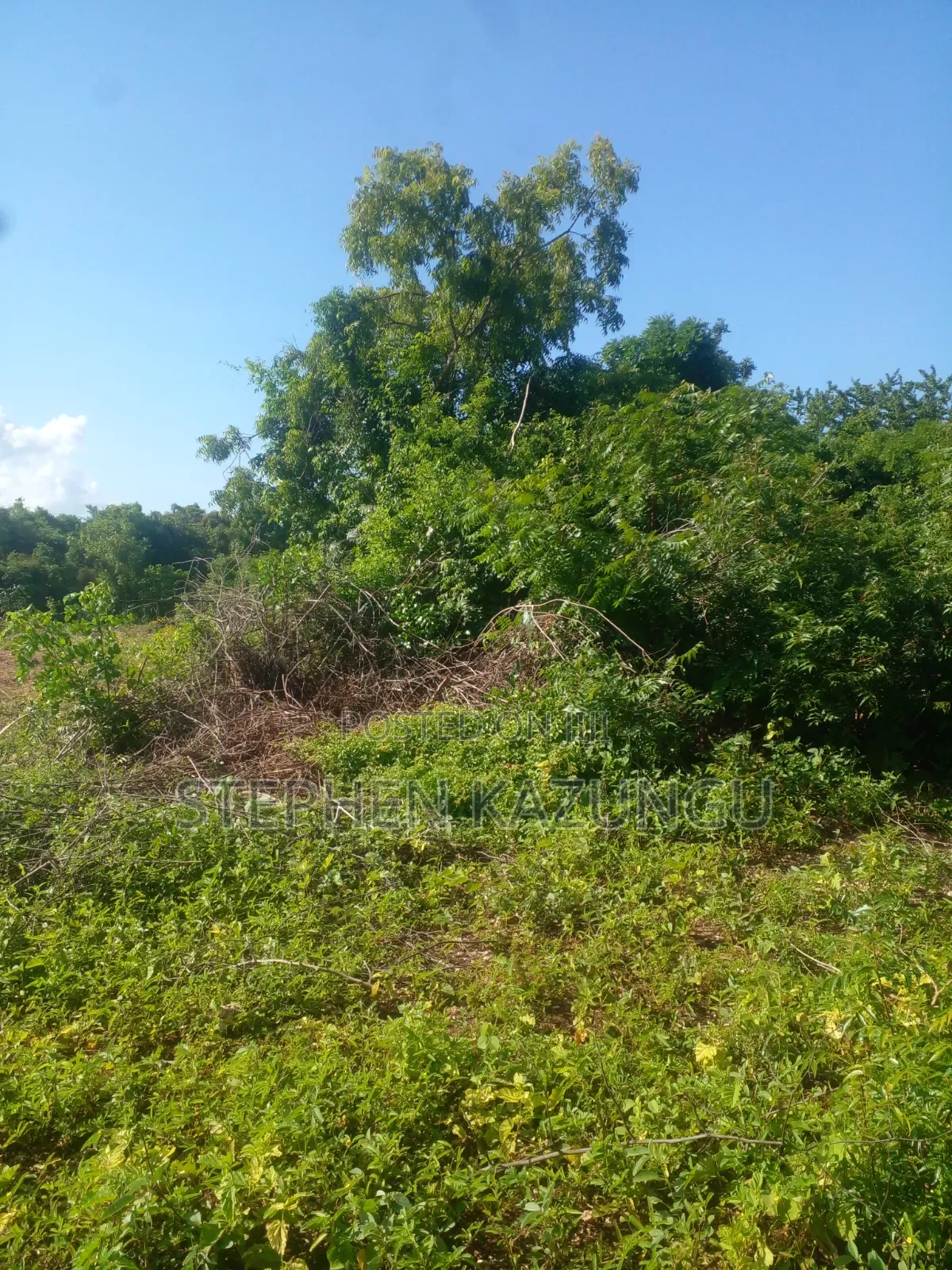Diani Beach's 1/2 Acre Plot on 2nd Row Only 250 Metres From the Beach. in Ukunda