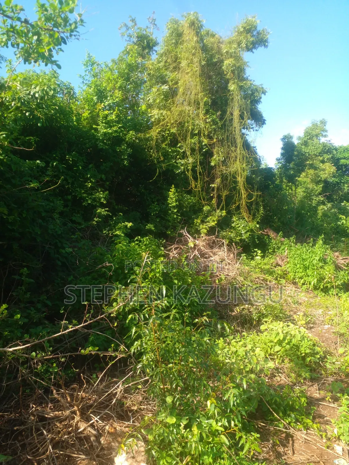 Diani Beach's 1/2 Acre Plot on 2nd Row Only 250 Metres From the Beach. in Ukunda
