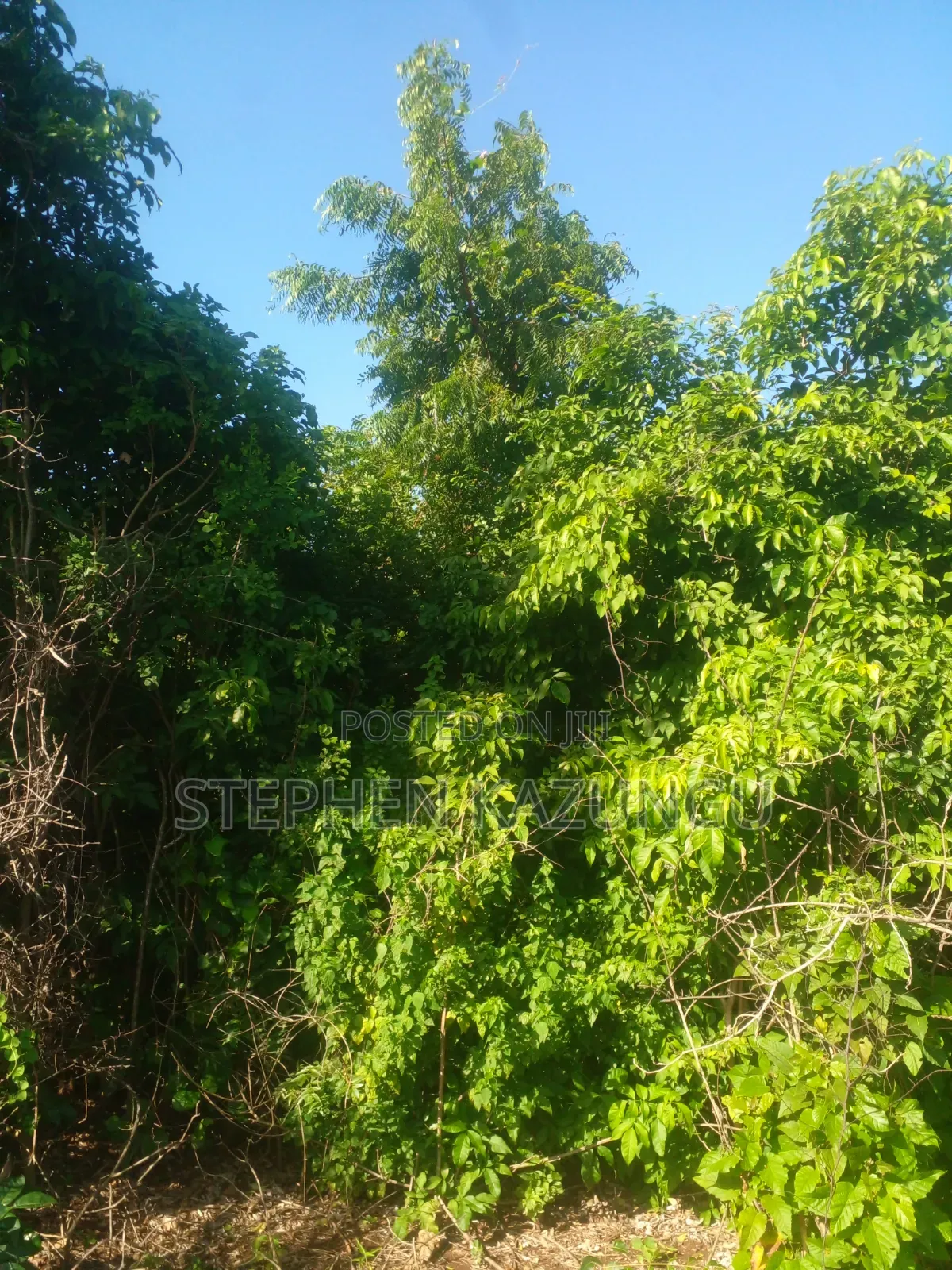 Diani Beach's 1/2 Acre Plot on 2nd Row Only 250 Metres From the Beach. in Ukunda