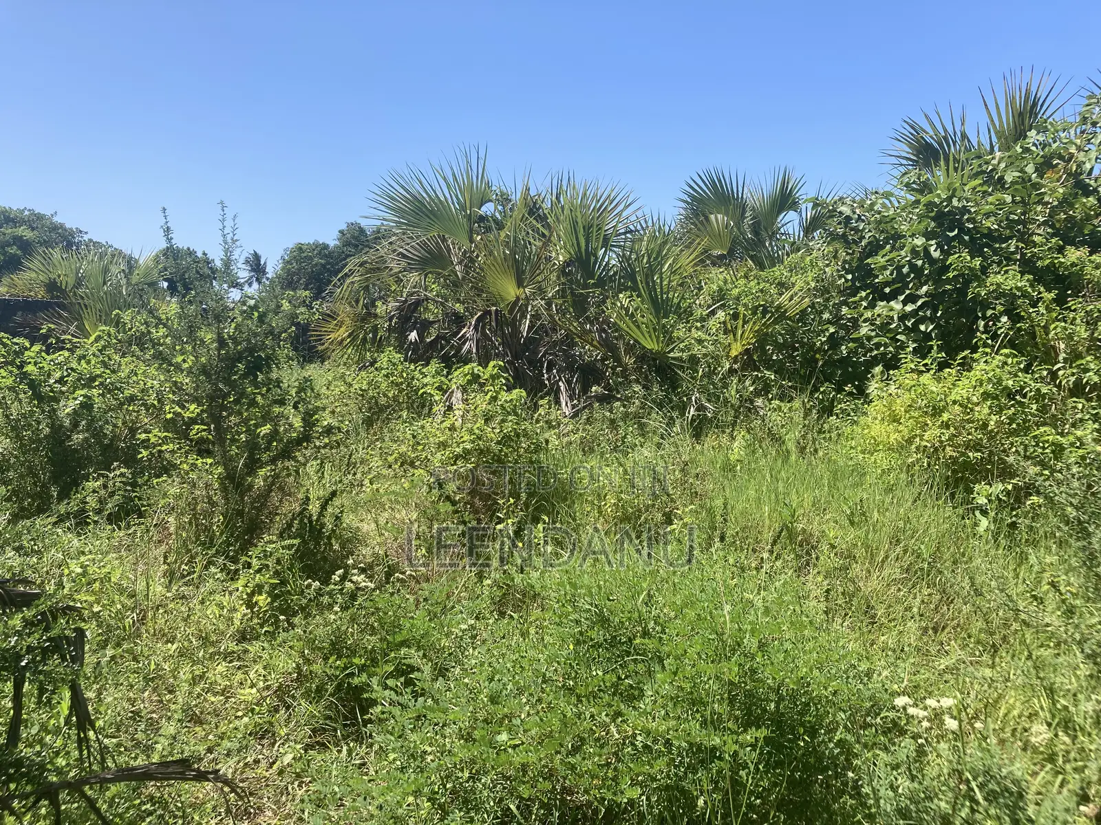 Residential/Commercial Land in Dzombo