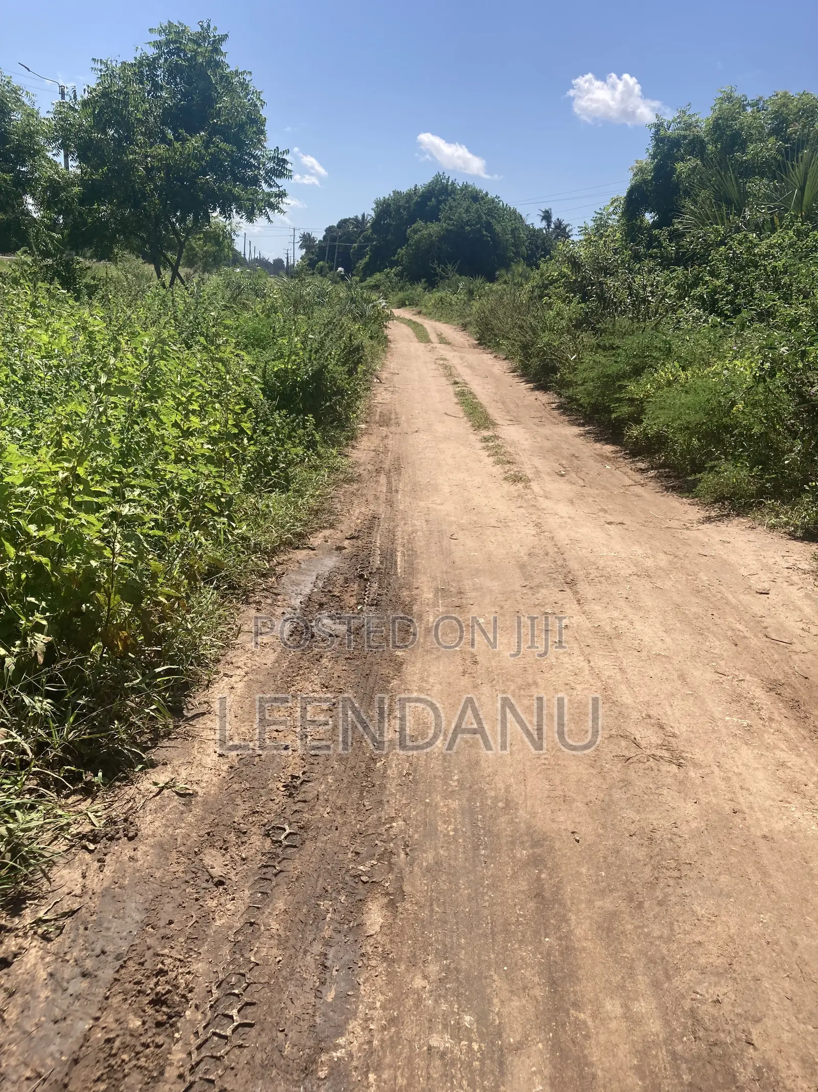 Residential/Commercial Land in Dzombo
