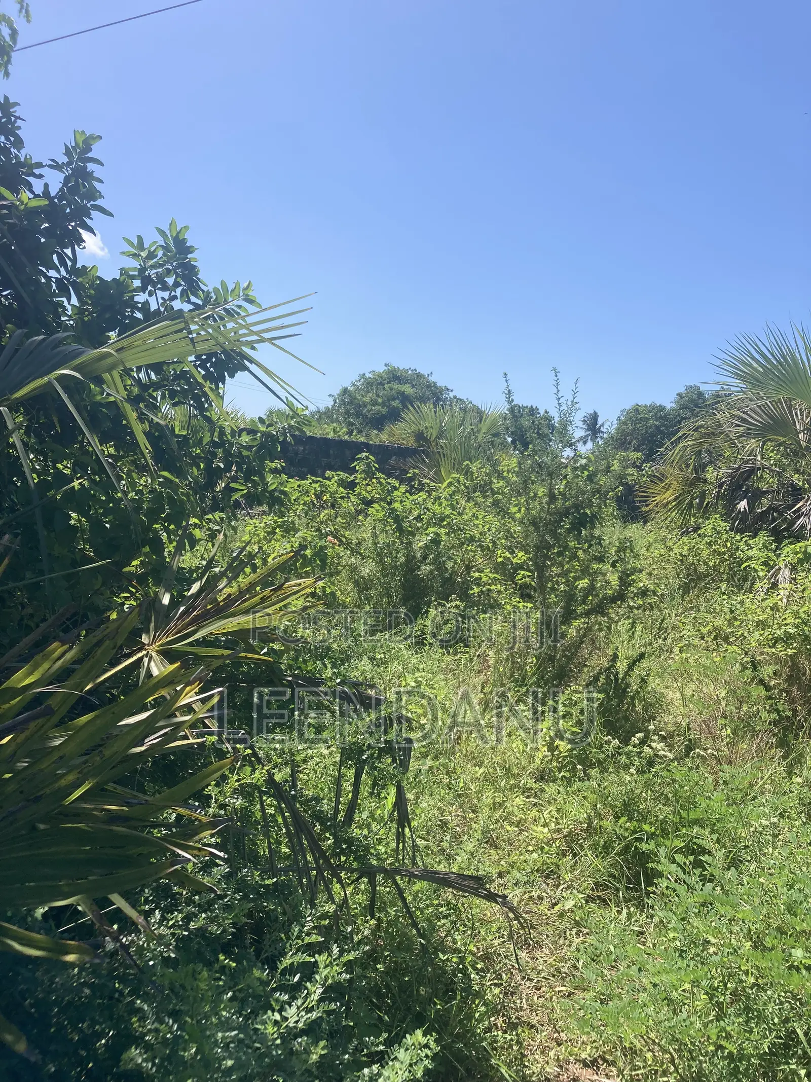 Residential/Commercial Land in Dzombo