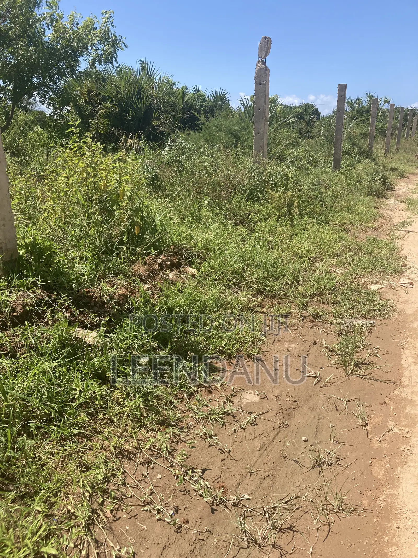 Residential / Commercial Land in Dzombo