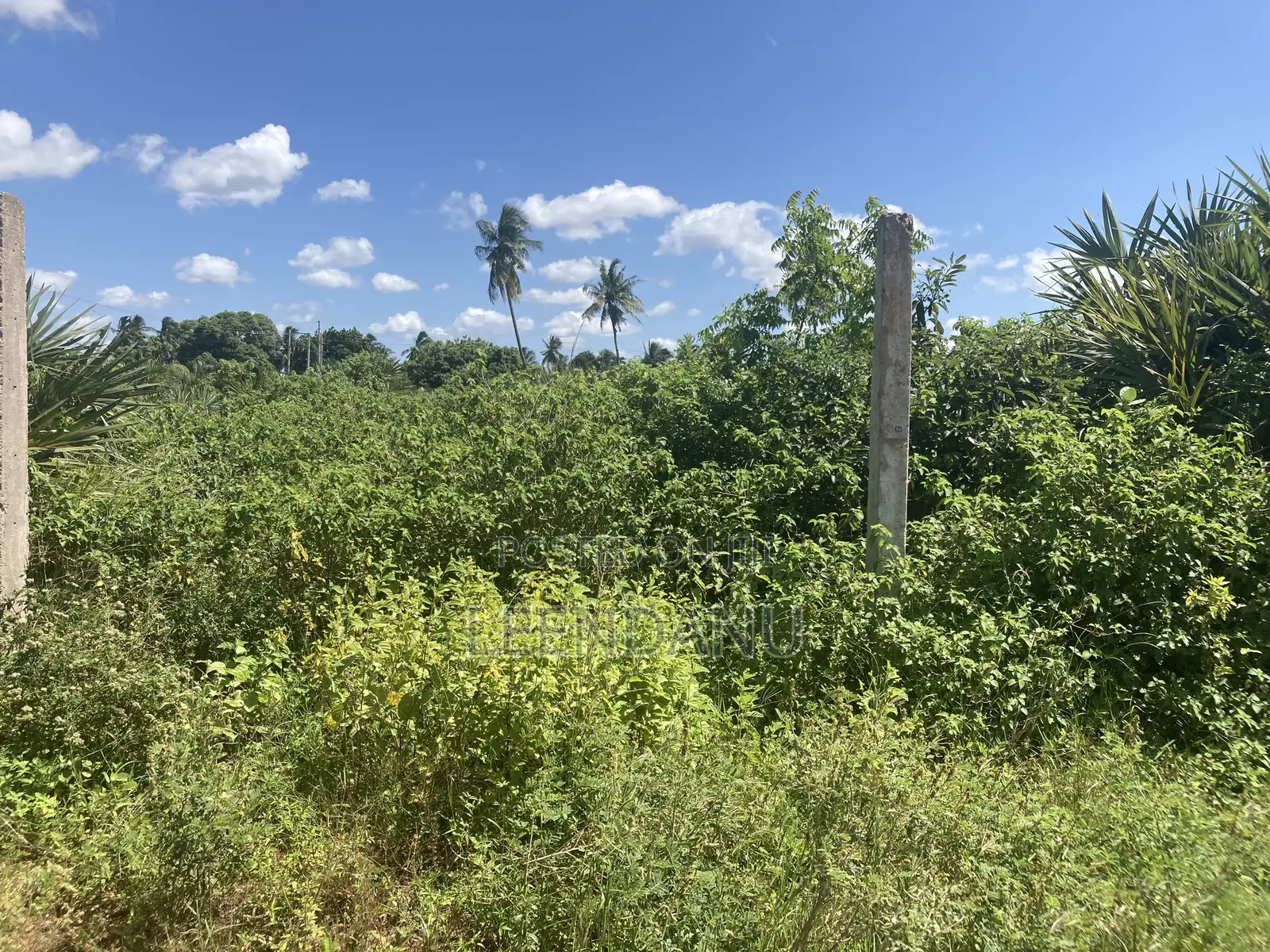 Residential / Commercial Land in Dzombo