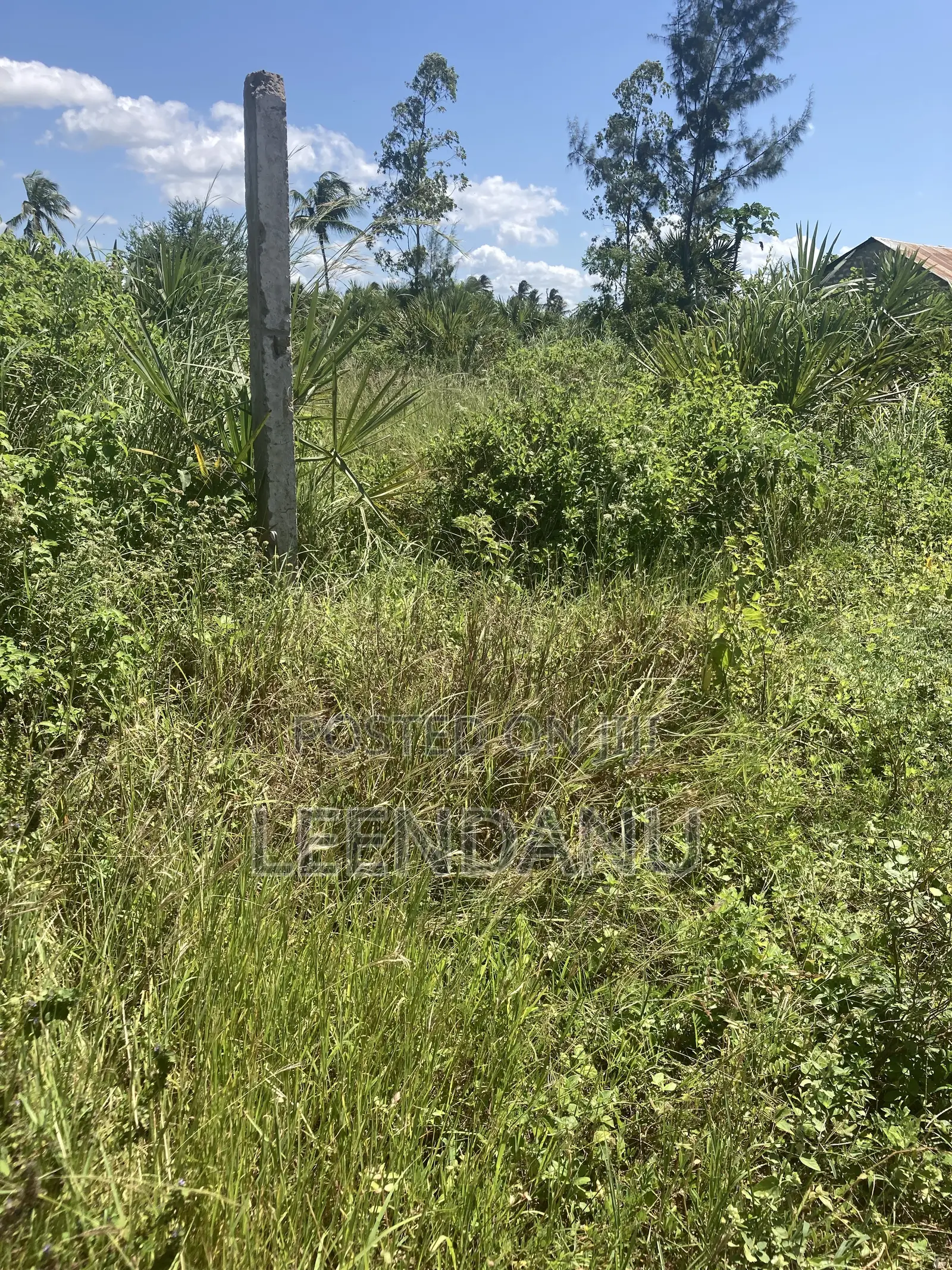Residential / Commercial Land in Dzombo