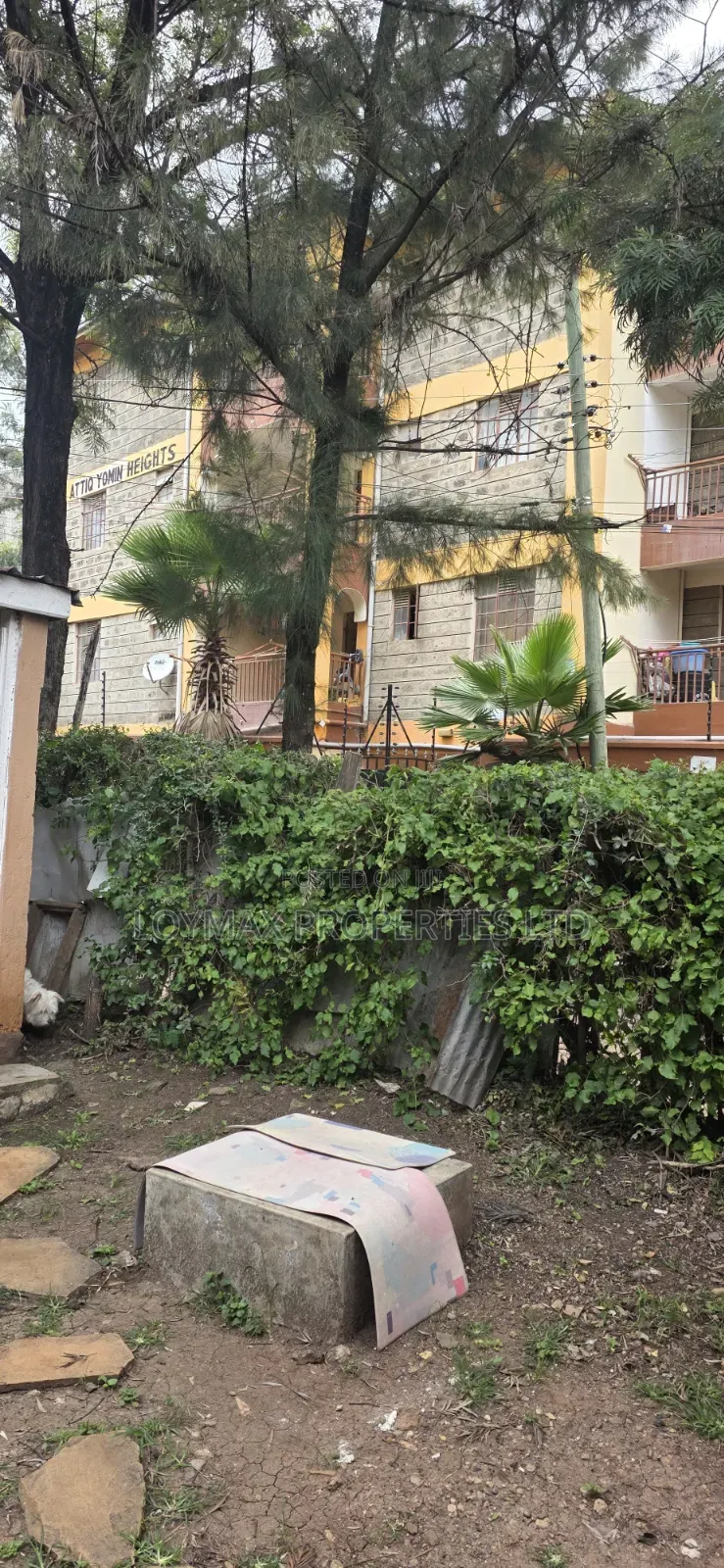 100/100 Commercial Balozi Road Kitengela. in Kitengela