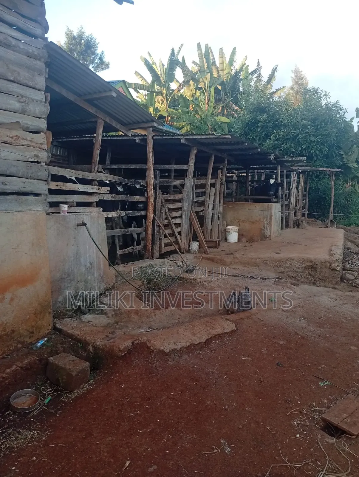 1 Acre Land on Sale at Gatundu-Muhoho in Kiamwangi