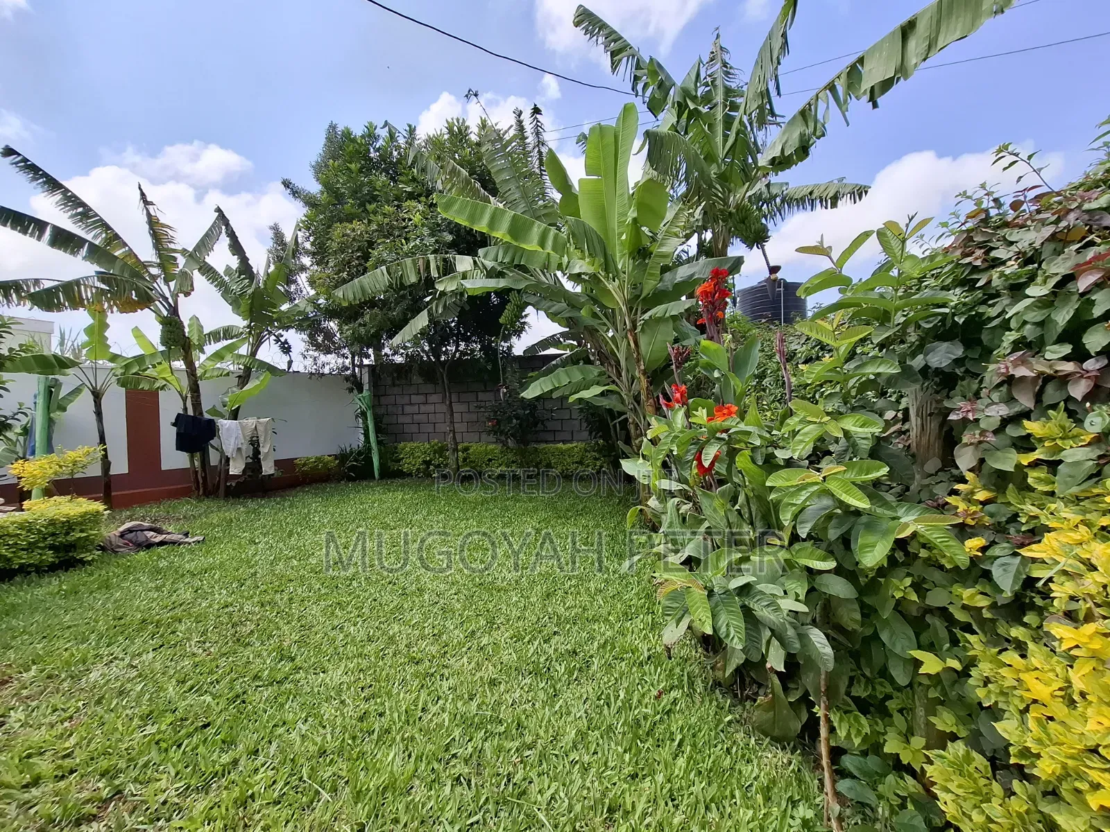 3bdrm Bungalow in Uthiru for rent in Uthiru