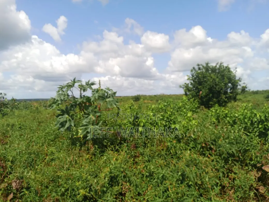 30 Acres Agricultural Land for Sale – Baricho, Malindi in Mbaraki
