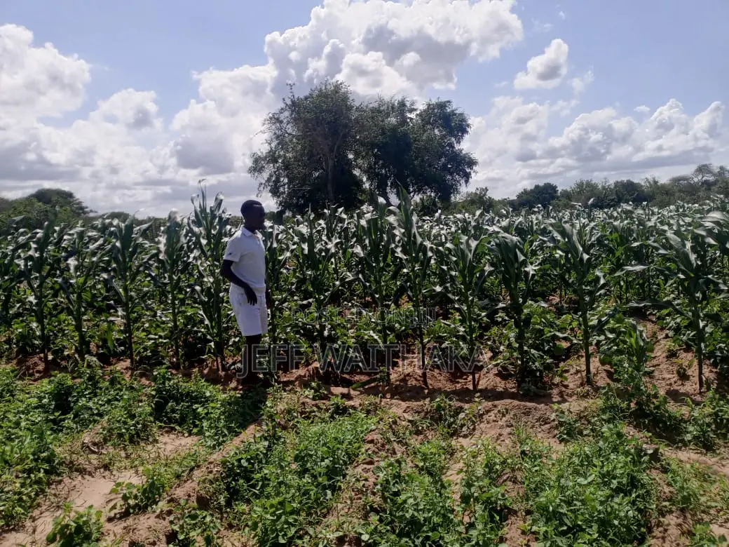 30 Acres Agricultural Land for Sale – Baricho, Malindi in Mbaraki