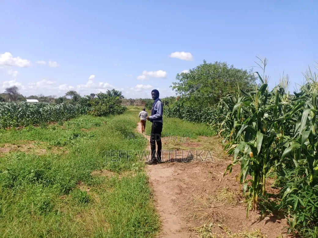 30 Acres Agricultural Land for Sale – Baricho, Malindi in Mbaraki