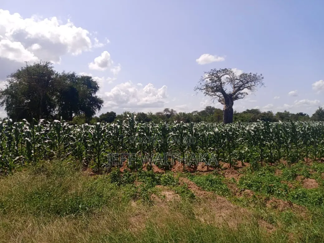 30 Acres Agricultural Land for Sale – Baricho, Malindi in Mbaraki